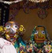 Hare Krishna