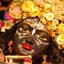 Hare Krishna