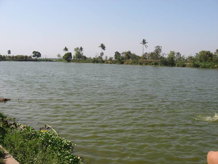 Sri_Nrsimhapalli_006.jpeg