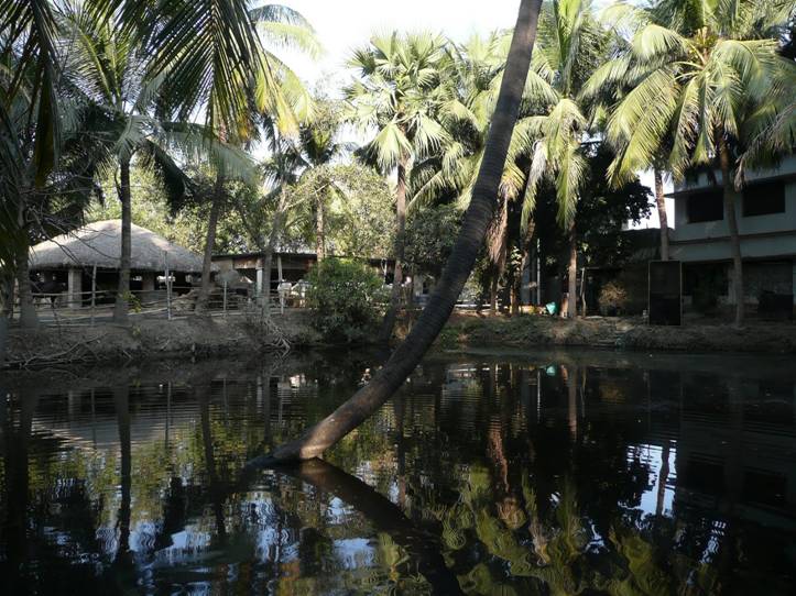 NITAI_KUNDA_EKACHAKRA_DHAMA_01.jpg